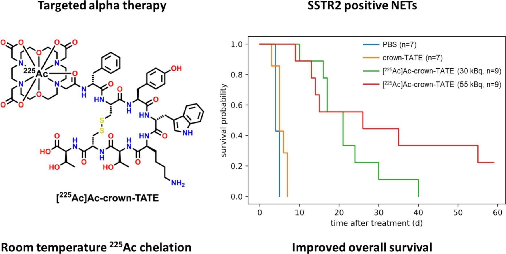 Imaging and biodistribution figure from the 225Ac-crown-TATE targeted alpha-therapy study (MIRF).