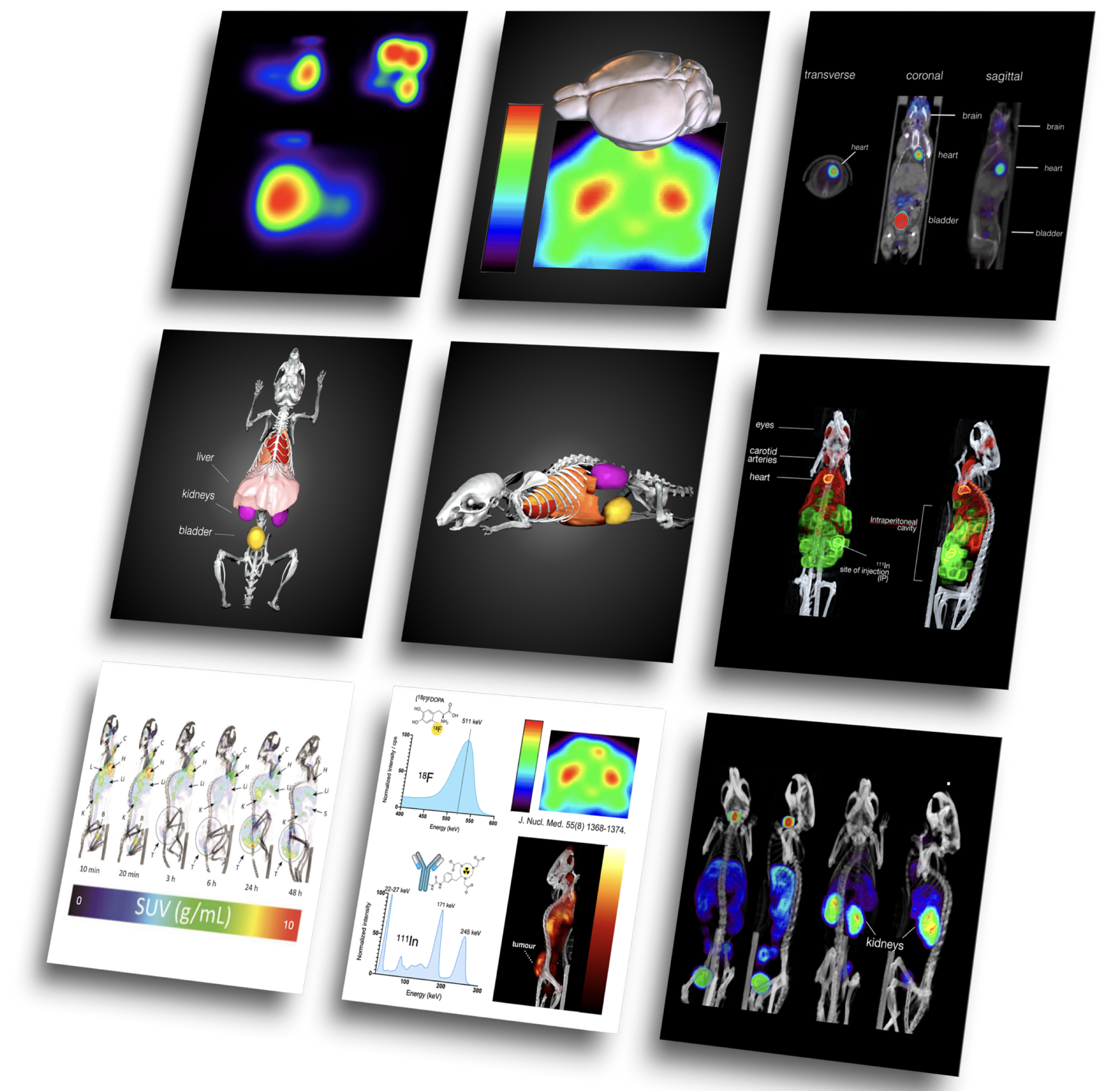 Composite gallery of representative imaging outputs from MIRF VECTor/CT studies, including PET, SPECT, CT, multimodal renderings, and quantitative analyses across multiple preclinical research projects.