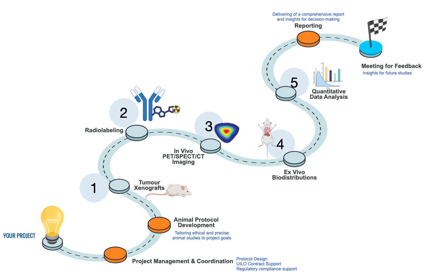 MIRF preclinical workflow overview &mdash; project management, animal protocol development, radiolabeling, in vivo PET/SPECT/CT imaging, ex vivo biodistribution, quantitative data analysis, meeting for feedback, and final reporting